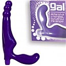 GAL PAL,  