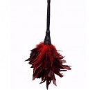 «Frisky Feather», 