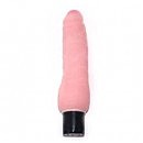   Cyber Vibe, 18,5  4,5 