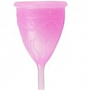   Femintimate Eve Cup