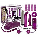  Surprise Surprise Lovetoyset