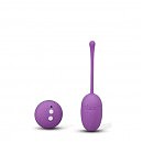  Remote Control Egg, 7   4 