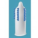 EGZO Cocky Friend Blue CF05