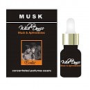  :  Musk Erotic , 5 