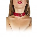  Dominant Collar, 