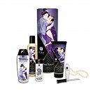   Shunga Carnal Pleasures
