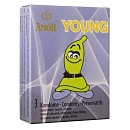   Amor Young, 3  