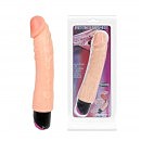  Woman Secret Vibrator, 25 x4,3 