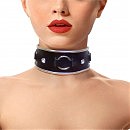         Art of Sex —  Collar Ring