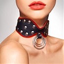     Art of Sex — Collar Butterfly