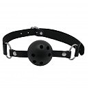   Alive Discretion Black