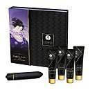   Shunga NAUGHTY GEISHA:   