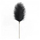    Premium Feather Tickler UPKO