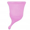   Femintimate Eve Cup New 