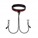      Sweet Anticipation Fifty Shades of Grey Collar Nipp