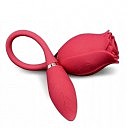   Boss Series Miss Coyness Rose, 32,5  5 