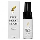 - Stud Delay Spray, 15ml