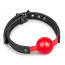 BallGagWithRedEasytoys