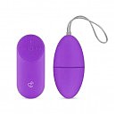    Easytoys Remote Control Vibrating Egg, 
