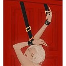      UPKO Over the Door Hand Restraints