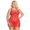  Aldona Softline, 