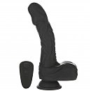 -     Naked Addiction 8.6 Noir,   