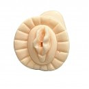 - Brazzers T121, 13 