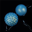   LoveToy Ocean's Toner Egg Set