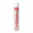      Wet Fun Flavors Watermelon