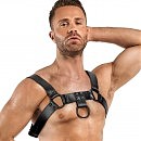  Bedroom Fantasies Bruno Chest Bulldog Harness, 