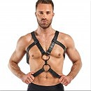    Bedroom Fantasies Rocco Masculine Masterpiece Black