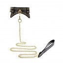      Taboom Studded Collar and Leash,  , 