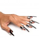     Master Series Five-Piece Sensation Claw Rings Silver, 5 