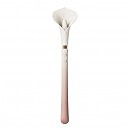      Zalo Calla Blossom, 2  , 10  1,8 