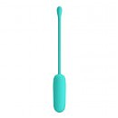  Pretty Love Joyce Vibrating Egg Mint, 12  , 18  2,2 