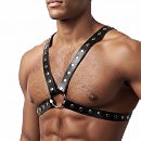 ������� �������� �� ������� Art of Sex Spartacus, ������ L-2XL