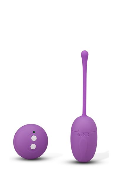  REMOTE CONTROL EGG