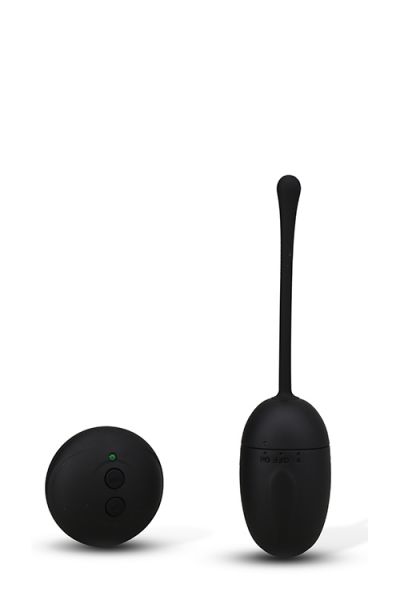  REMOTE CONTROL EGG