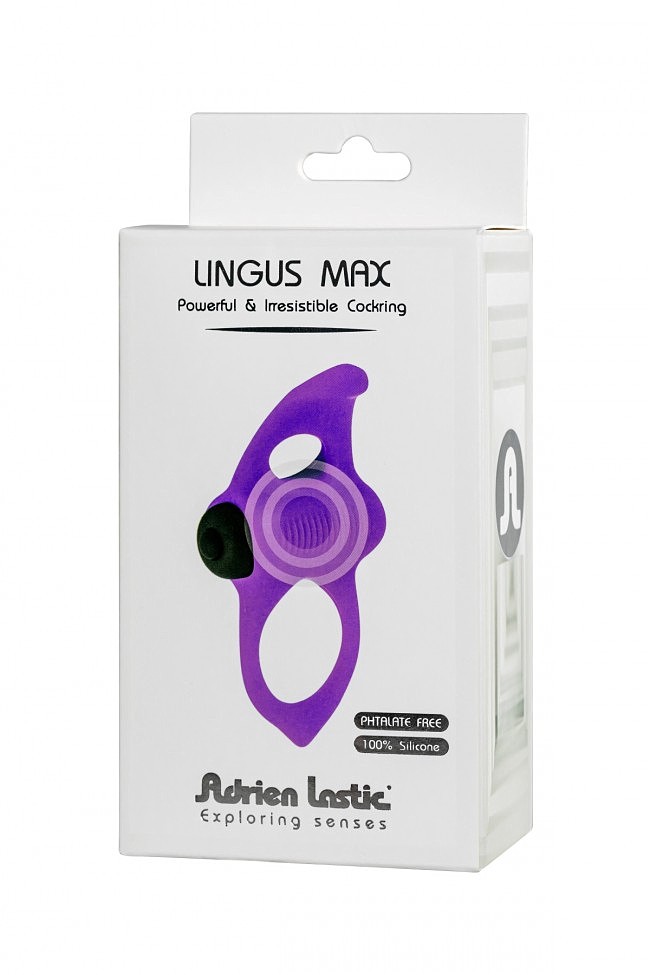   «Lingus Max Violet»   3 