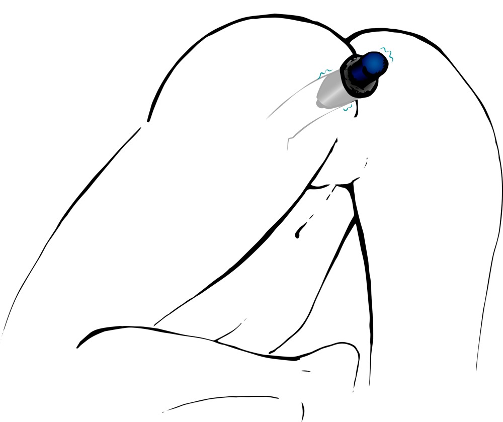   — Lust Tunnel Plug
