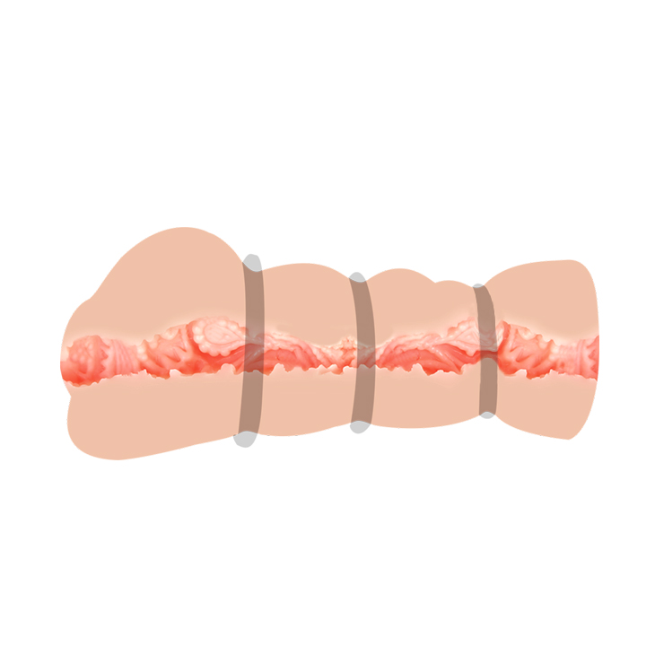 6603BM0219