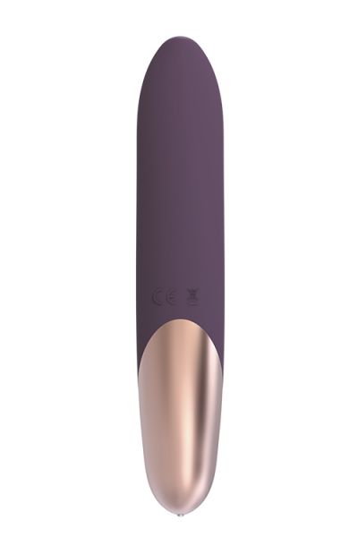 DT21667