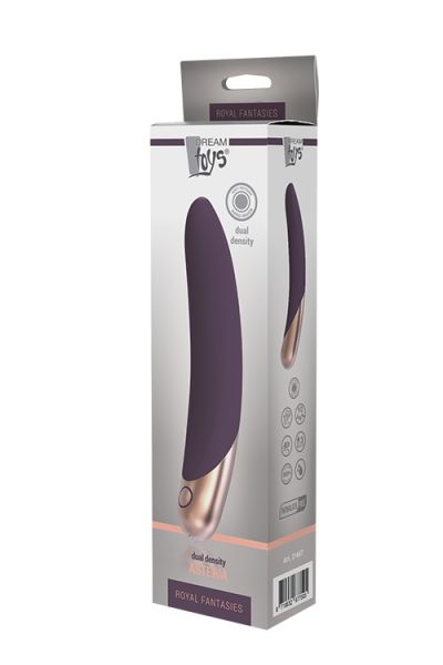 DT21667