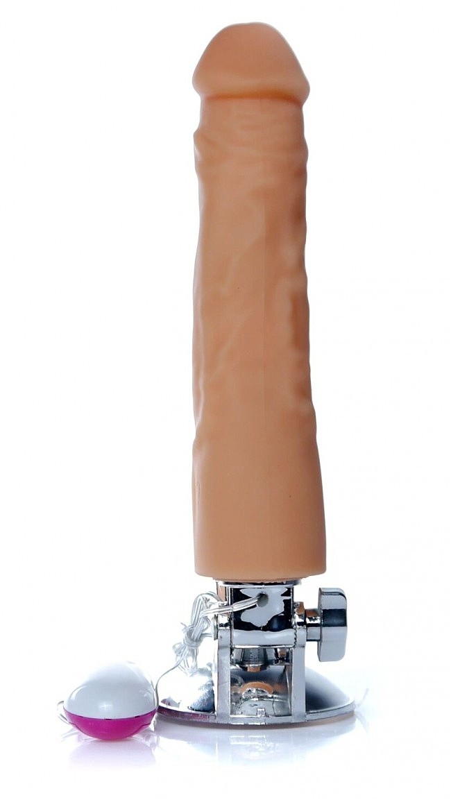 BS6700081