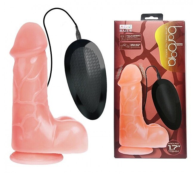 BW-008072ZSY