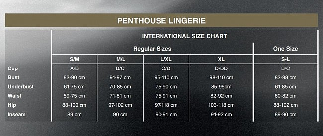 Penthouse  Eye-Catcher Black S-L