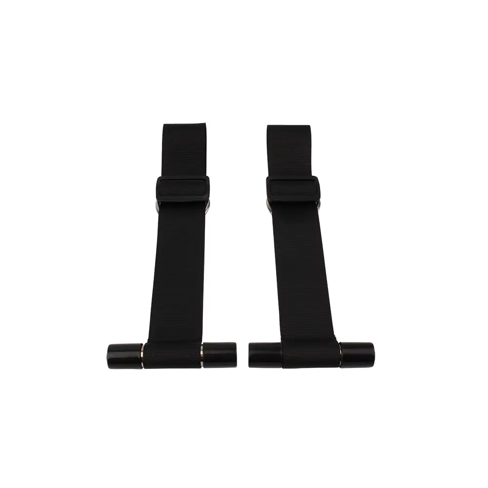 ��������� �� ����� Chisa Sex Swing In Door