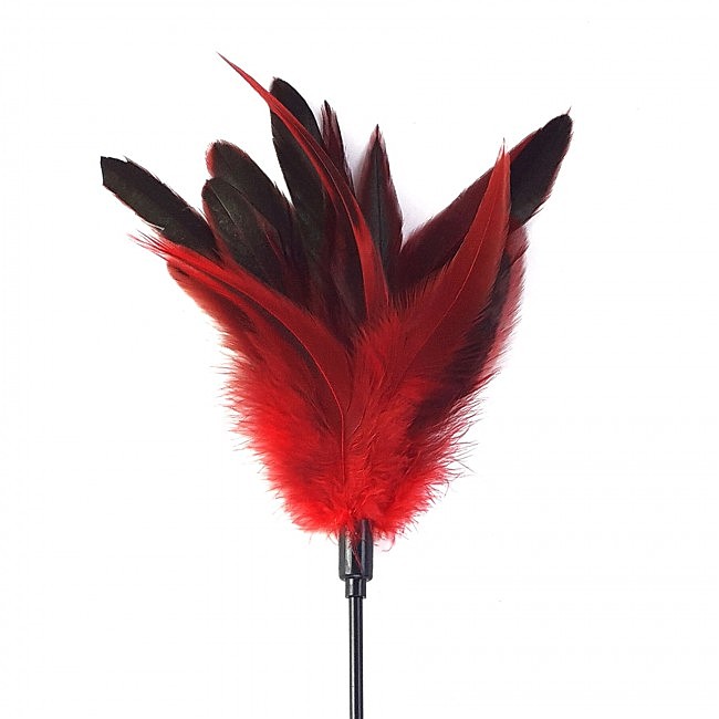   Art of Sex — Feather Paddle,   