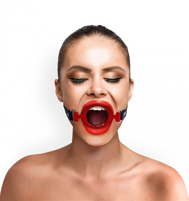     , Gag ring    40 , 