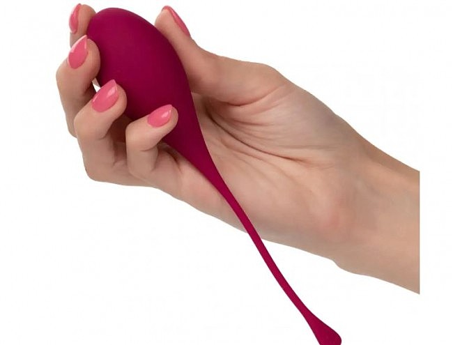    California Exotics Kegel Training 5-Piece Set